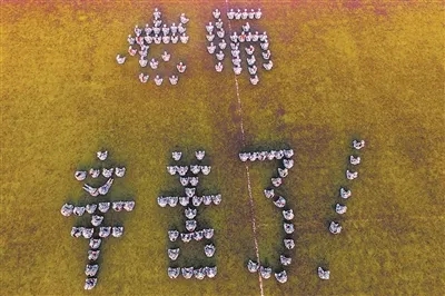 25687.webp.jpg 25687.webp.jpg